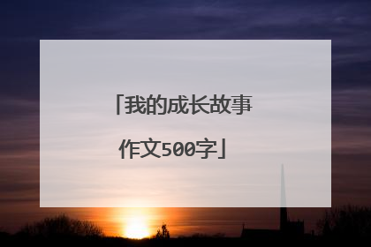 我的成长故事作文500字