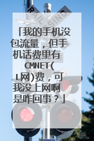 我的手机没包流量，但手机话费里有 CMNET(L网)费，可我没上网啊 是咋回事？