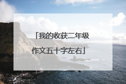 我的收获二年级作文五十字左右