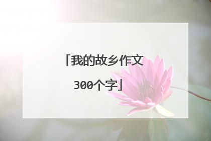 我的故乡作文300个字