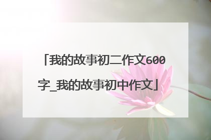 我的故事初二作文600字_我的故事初中作文