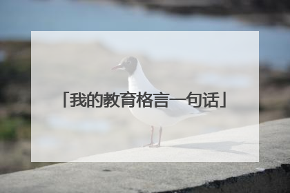 我的教育格言一句话
