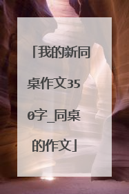 我的新同桌作文350字_同桌的作文