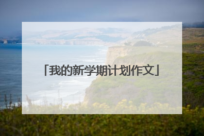 我的新学期计划作文