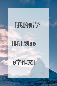 我的新学期计划800字作文