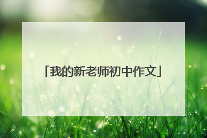 我的新老师初中作文