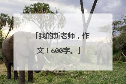 我的新老师，作文！600字。