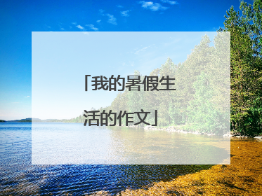 我的暑假生活的作文