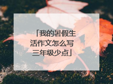 我的暑假生活作文怎么写三年级少点