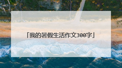 我的暑假生活作文300字