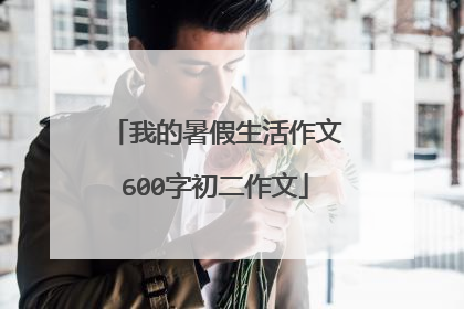 我的暑假生活作文600字初二作文