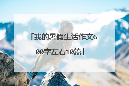 我的暑假生活作文600字左右10篇