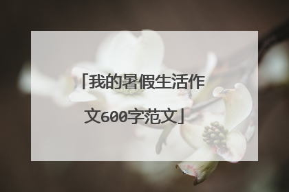 我的暑假生活作文600字范文