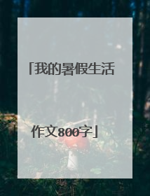我的暑假生活作文800字