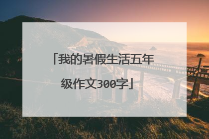 我的暑假生活五年级作文300字