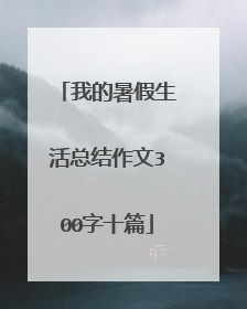 我的暑假生活总结作文300字十篇