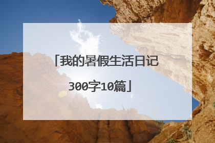 我的暑假生活日记300字10篇