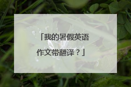 我的暑假英语作文带翻译?