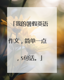 我的暑假英语作文，简单一点，5句话。
