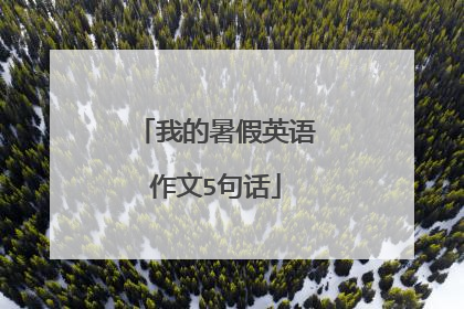我的暑假英语作文5句话
