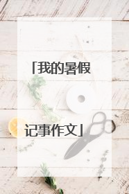我的暑假记事作文