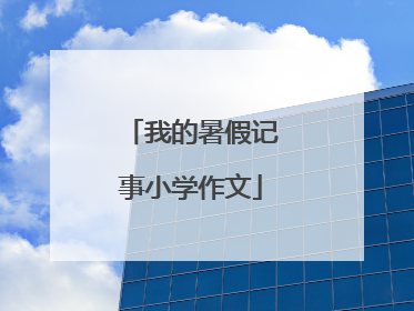 我的暑假记事小学作文