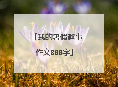 我的暑假趣事作文800字