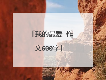 我的最爱 作文600字