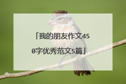 我的朋友作文450字优秀范文5篇