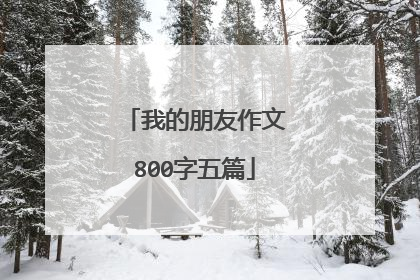 我的朋友作文800字五篇