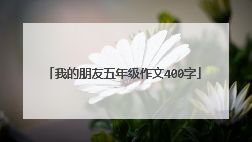 我的朋友五年级作文400字