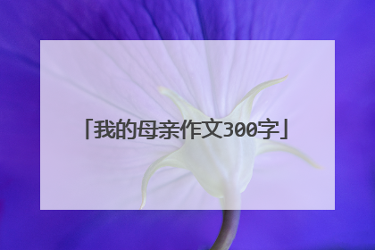 我的母亲作文300字
