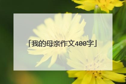 我的母亲作文400字