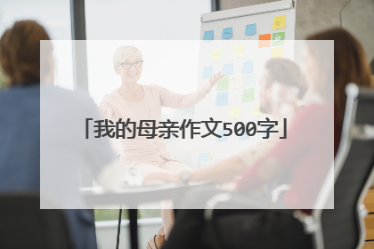 我的母亲作文500字