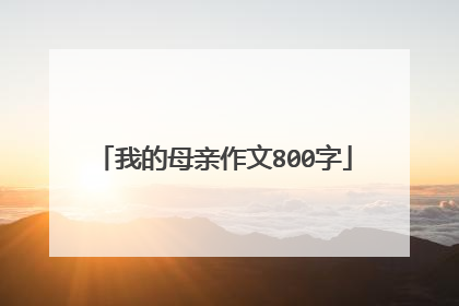 我的母亲作文800字