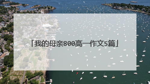 我的母亲800高一作文5篇