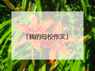 我的母校作文