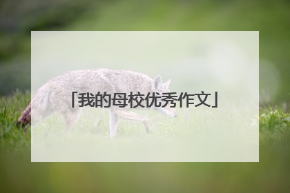 我的母校优秀作文