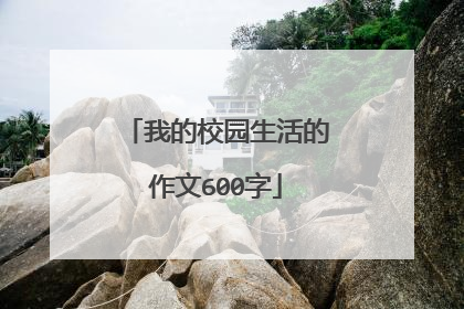 我的校园生活的作文600字