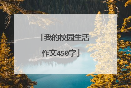 我的校园生活作文450字