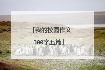 我的校园作文300字五篇