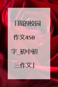 我的校园作文450字_初中初三作文