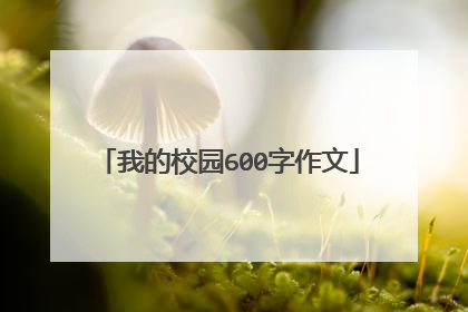 我的校园600字作文