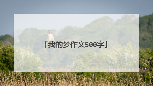 我的梦作文500字