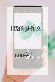 我的梦作文600字
