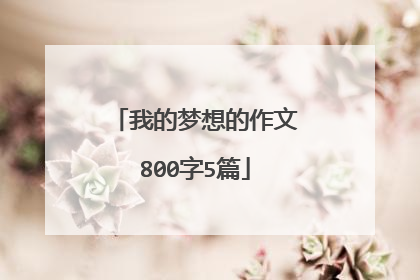 我的梦想的作文800字5篇