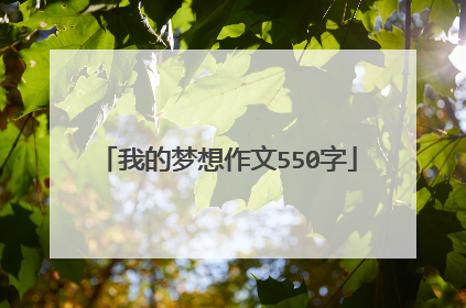我的梦想作文550字