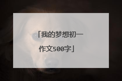 我的梦想初一作文500字