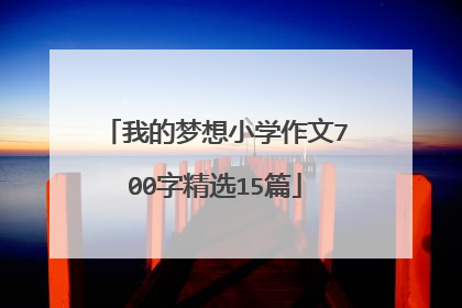 我的梦想小学作文700字精选15篇
