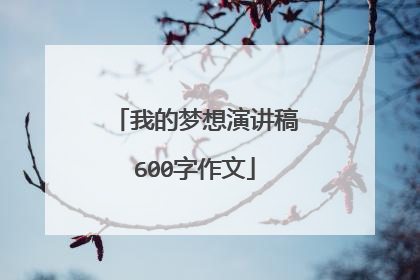 我的梦想演讲稿600字作文